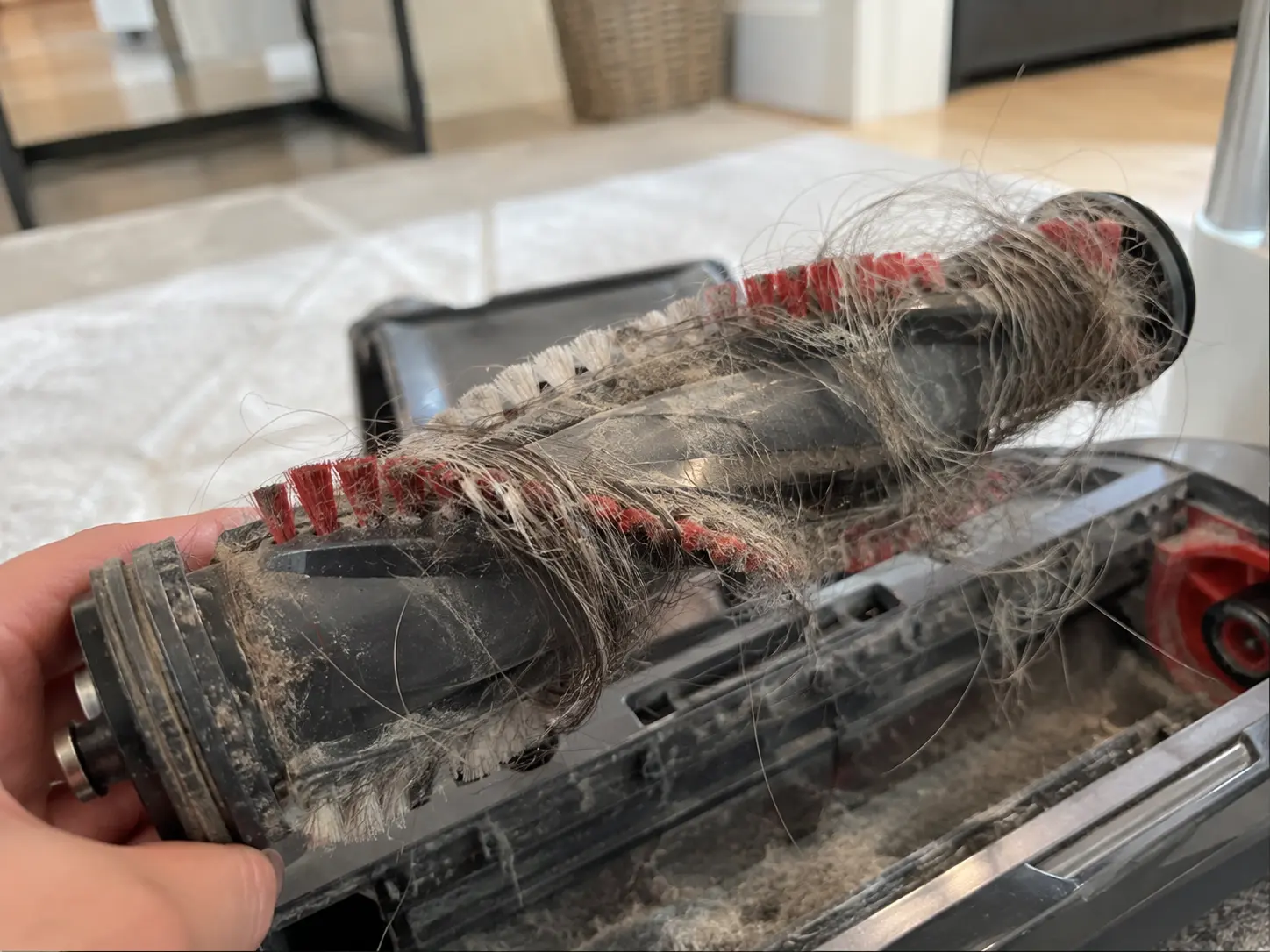 vacuum brush roll with hair tangled around it